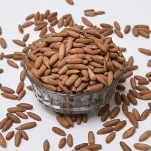 Premium Chilgoza (Pine Nuts) – Nature’s Power-Packed Dry Fruit