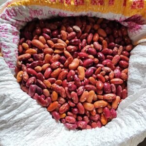 Multicolour Rajma – A Rainbow of Health & Flavor from the Himalayas