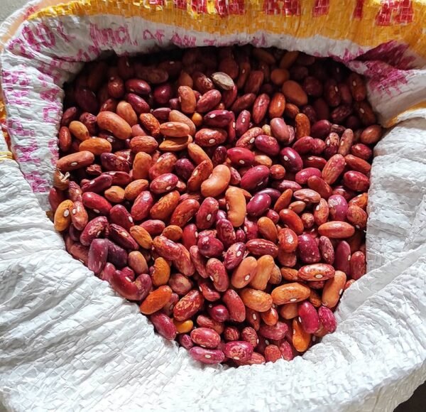 Multicolour Rajma – A Rainbow of Health & Flavor from the Himalayas