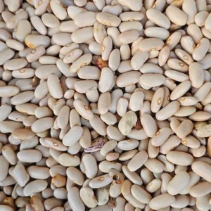 White Chitra Rajma – Pure, Protein-Rich Himalayan Superfood